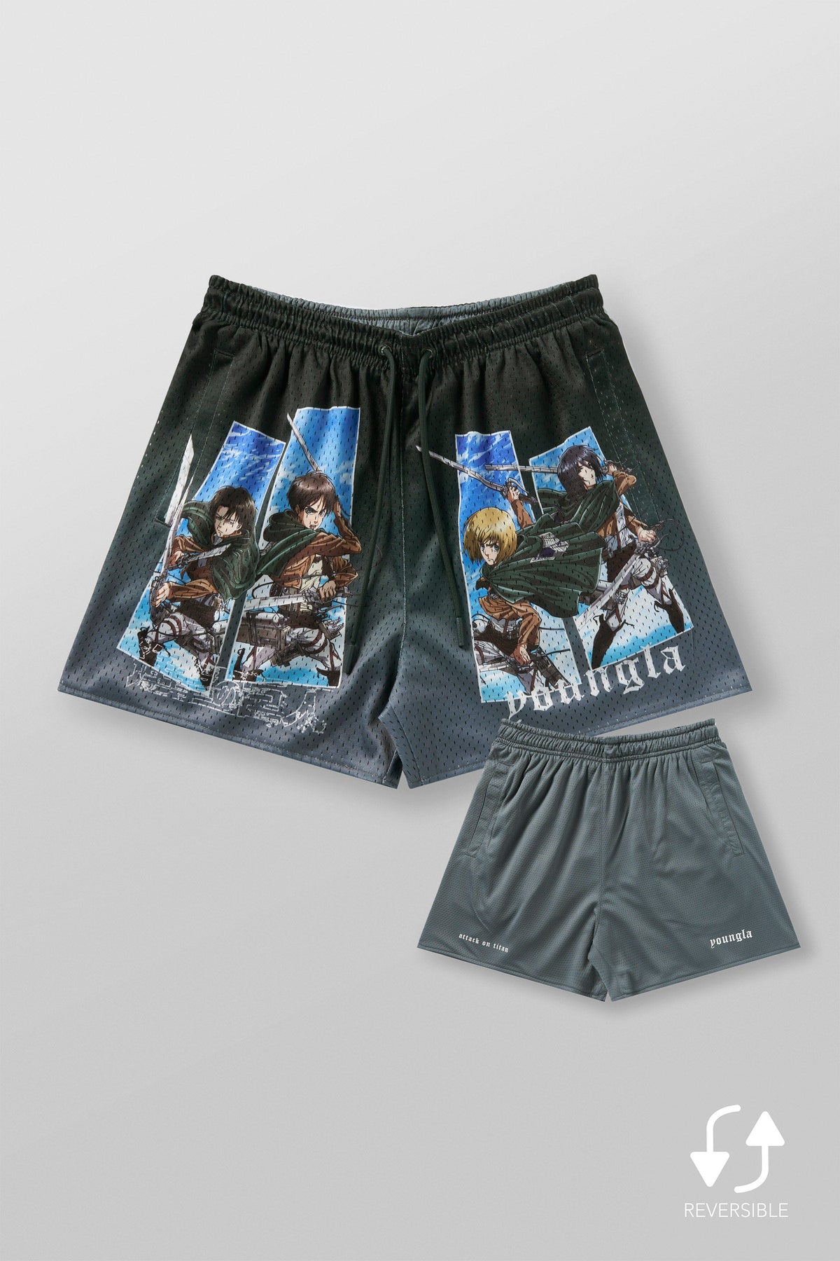 1126 - AOT? x YLA Mesh Shorts